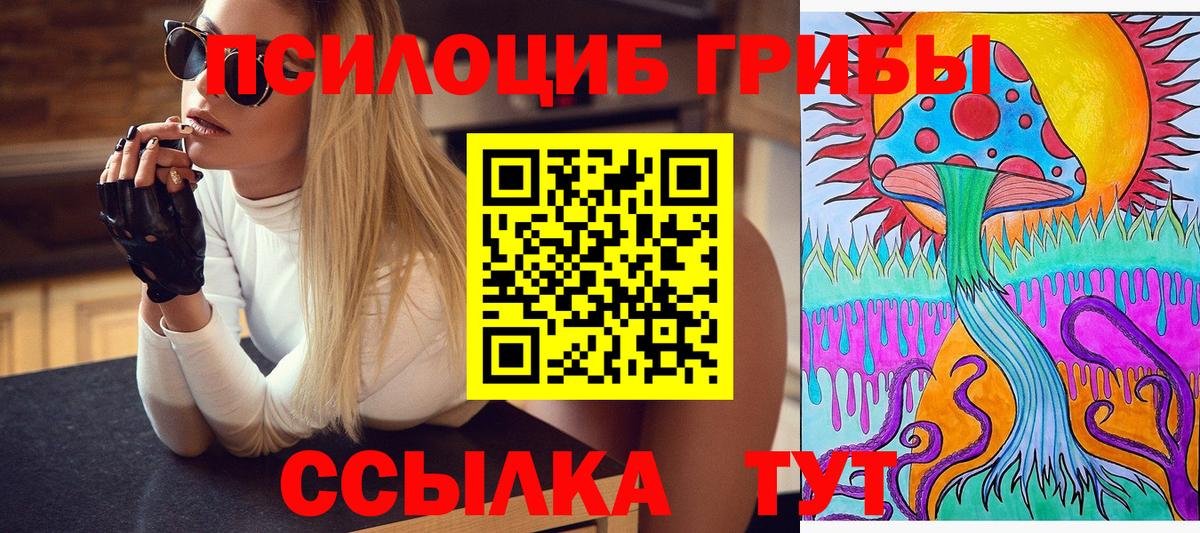 Псилоцибиновые грибы ЛСД Димитровград
