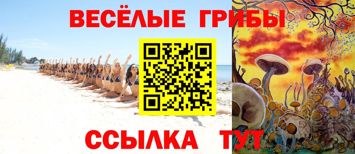 Псилоцибиновые грибы Psilocybine cubensis  даркнет сайт  Вход с VPN  Димитровград  Галлюциногенные грибы Magic Shrooms 